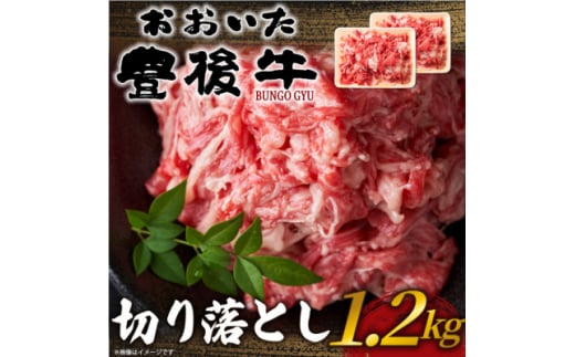 おおいた豊後牛切り落とし 1.2kg(600g×2P)(日出町)【1571550】 1585843 - 大分県日出町