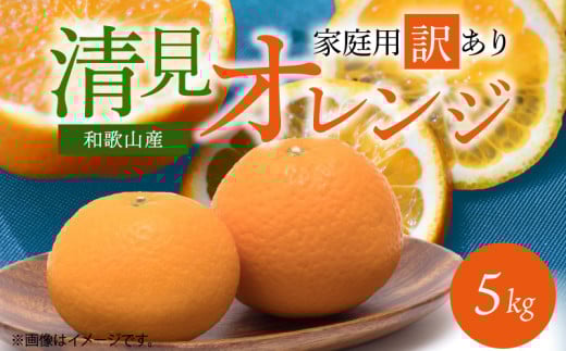 G7329_【2026年先行予約】紀州有田産 清見 オレンジ 5kg【家庭用 訳あり】タンゴール みかん 柑橘 フルーツ 果物 デザート 果実 お取り寄せ 和歌山県 湯浅町 有田 送料無料