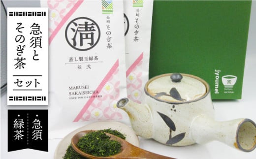 急須とそのぎ茶セット (急須×1・緑茶 100g×2) 茶 お茶 緑茶 日本茶 茶葉 東彼杵町/常明窯 [BCX003] 302126 - 長崎県東彼杵町