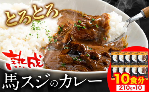 たっぷり！馬スジカレー 10食セット《60日以内に出荷予定(土日祝除く)》馬スジ カレー お肉 馬すじ カレーライス 馬肉 贈答 ギフト グルメ お取り寄せ 熊本県 山江村 送料無料 個包装 大人気 簡単調理