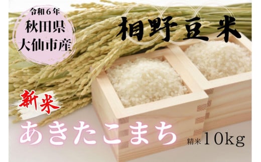 【白米】＜令和6年産＞秋田県大仙市産 あきたこまち 10kg