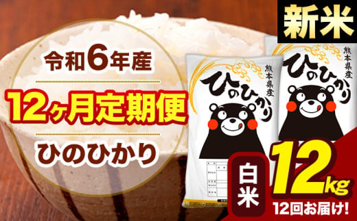 新米 令和6年産 【12ヶ月定期便】 早期先行予約受付中 白米 米 ひのひかり 12kg《お申し込み月の翌月から出荷開始》熊本県 大津町 国産 熊本県産 白米 送料無料 ヒノヒカリ こめ お米