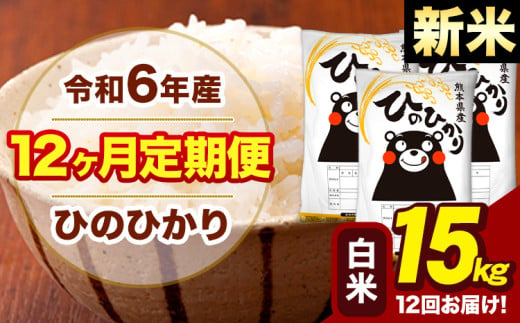 新米 令和6年産 【12ヶ月定期便】 早期先行予約受付中 白米 米 ひのひかり 15kg《お申し込み月の翌月から出荷開始》熊本県 大津町 国産 熊本県産 白米 送料無料 ヒノヒカリ こめ お米