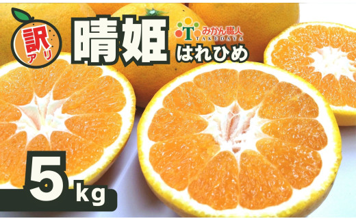 訳あり 晴姫 はれひめ 5kg みかん 蜜柑 柑橘 かんきつ 果物 くだもの ジュース 冬 旬 季節限定 期間限定 数量限定 厳選 産地直送 わけあり 訳あり 傷 きず サイズ混合 サイズミックス ふるさとチョイス ふるさと納税 ふるさと納税みかん チョイス 愛媛県 愛南町 みかん職人武田屋 