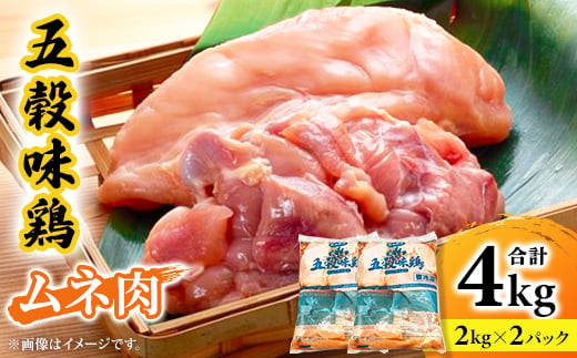 五穀味鶏(ごこくあじどり)ムネ肉4kgセット(2kg×2パック)【1435721】