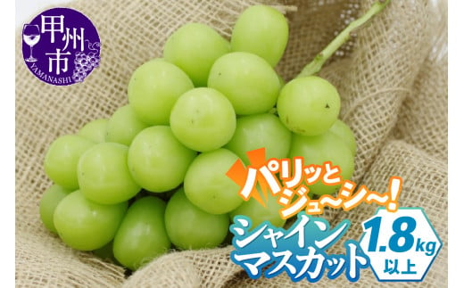 山梨県甲州市の【山梨県甲州市】 シャインマスカット 【特集】｜ふるさとチョイス - ふるさと納税サイト