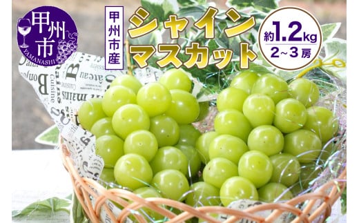 山梨の自然が産んだスイートエメラルド甲州市産シャインマスカット！約1.2kg 2房～3房【2025年発送】（UD）B-865 【シャインマスカット 葡萄 ぶどう ブドウ 令和7年発送 期間限定 山梨県産 甲州市 フルーツ 果物】 634287 - 山梨県甲州市