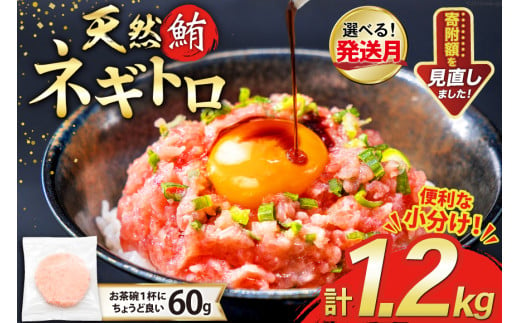 【準備でき次第発送】 天然 マグロ ネギトロ まぐろたたき 冷凍 60g 20パック 計1.2kg 小分け 個包装 FY03 [トライ産業 静岡県 吉田町 22424332] まぐろ 鮪 ねぎとろ まぐろのたたき マグロたたき ネギとろ ねぎトロ 1582049 - 静岡県吉田町