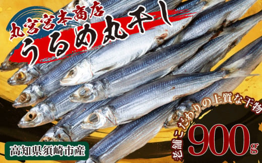 うるめいわし 900g 干物 鰯 煮干し 真いわし 真鰯 稚魚 おやつ 乾物 魚介 加工品 ウルメ 丸宮 宮本 商店 土佐 海洋深層水 ミネラル 高知県 須崎市  MMY043 1590086 - 高知県須崎市