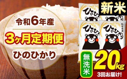 新米 令和6年産 【3ヶ月定期便】  早期先行予約受付中 無洗米 米 ひのひかり 20kg《お申し込み月の翌月から出荷開始》熊本県 大津町 国産 熊本県産 無洗米 送料無料 ヒノヒカリ こめ お米