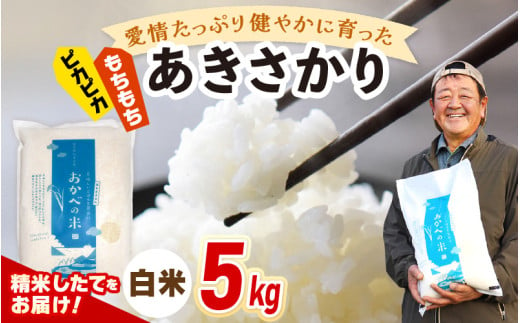 【年内配送】令和6年産 愛情たっぷり健やかに育った ピカピカ もちもち あきさかり（白米）5kg [m29-a005]