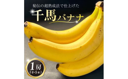 超熟成法仕立て 千馬バナナ 1房 4～5本入り【1567242】