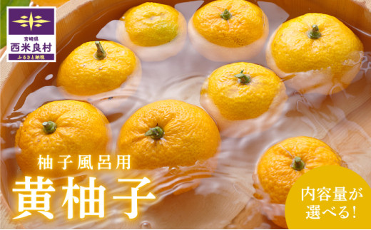B級黄柚子3kg（ゆず風呂におすすめ）