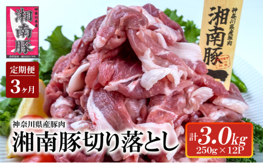 【3ヵ月 定期便】湘南豚　切り落し　3.0kg　※2025年2月から順次発送 【神奈川県産豚】 豚肉 切り落とし 国産 肉 ポーク 小分け 250g 冷凍 生姜焼き 野菜炒め 豚汁 豚丼 人気 おすすめ 藤沢市 1586722 - 神奈川県藤沢市