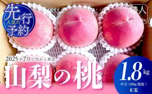 【先行予約】 朝もぎ直送！山梨の桃　中玉(300g程度) 6玉　約1.8kg【2025年7月上旬から発送】おさだ農園[5839-2120]