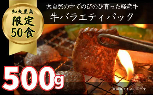 限定50セット【知夫里島】経産牛焼肉用バラエティーミックス５００ｇ 1582145 - 島根県知夫村