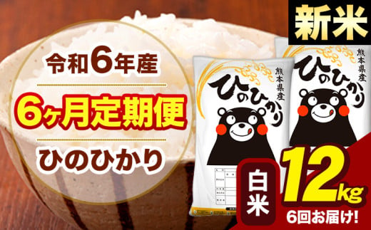 新米 令和6年産 【6ヶ月定期便】 早期先行予約受付中 白米 米 ひのひかり 12kg《お申し込み月の翌月から出荷開始》熊本県 大津町 国産 熊本県産 白米 送料無料 ヒノヒカリ こめ お米