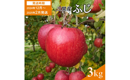 三関りんご　ふじ　秀品　3kg[J5-15102]