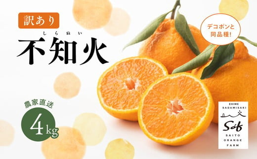 【先行予約】Saito Orange Farmの訳あり不知火4kg ｜ 柑橘 みかん ミカン フルーツ  果物 でこぽん デコポンと同品種 愛媛　※離島への配送不可　※2025年3月中旬頃より順次発送予定 1162932 - 愛媛県伊方町