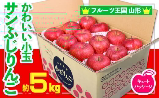 ☆フルーツ王国山形☆かわいい 小玉サンふじりんご 5kg 24玉 キュートパッケージ FY24-515