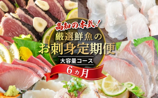 定期便 6ヶ月 6回 小島水産がお届けする！美味しいお刺身コース(鮮魚下処理済)  刺身 定期便 鮮魚 下処理済み ( お楽しみ 定期便 半年 お刺し身 かつお タタキ カツオ 鰹 鯛 たい タイ 鰤 ぶり ブリ 勘八 カンパチ かんぱち 高級魚 海鮮 魚介 頒布会 )  309950 - 高知県須崎市