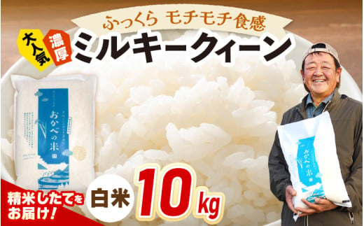 令和6年産 ふっくら モチモチ食感 大人気 濃厚 ミルキークィーン（白米）10kg [m29-a002] 1695828 - 福井県美浜町