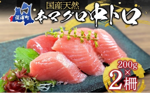 天然 本マグロ 中トロ 計400g 国産 本鮪 まぐろ マグロ クロマグロ 鮪 刺身 丼ぶり 寿司 海鮮 魚介 贅沢 お取り寄せ 詰め合わせ グルメ 産地直送 送料無料 冷凍 あおもり海山 青森県 深浦町 1166531 - 青森県深浦町