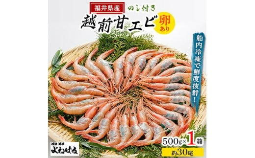 お世話になったあの方へ☆【のし付き】天然！越前甘エビ【大サイズ・卵あり】500g/1箱【えび エビ 海老 甘エビ 甘えび 子持ち 海鮮 お刺身 おせち 無添加 福井県産 国産】 [m17-a063] 1582751 - 福井県美浜町