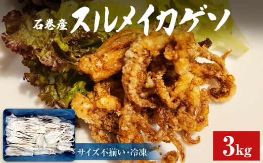 石巻市産スルメイカゲソ3kg 冷凍 国産 スルメイカ いか 下足 イカ イカゲソ おつまみ 魚介類 焼イカ バーベキュー BBQ 烏賊 炒め物 フライ ゲソ天 唐揚げ 1575680 - 宮城県石巻市