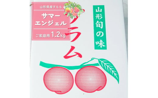 すもも（サマーエンジェル）１.２ｋｇ　ご家庭用　0012-2505 843893 - 山形県上山市