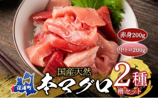 天然 本マグロ 赤身 中トロ 2種セット 国産 本鮪 まぐろ マグロ クロマグロ 鮪 刺身 丼ぶり 寿司 海鮮 魚介 贅沢 お取り寄せ 詰め合わせ グルメ 産地直送 送料無料 冷凍 あおもり海山 青森県 深浦町  605565 - 青森県深浦町