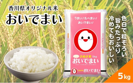 【令和6年産】香川県産 おいでまい 5kg 1袋　米 お米 精米  おいで米 粘り 旨み 1580965 - 香川県丸亀市