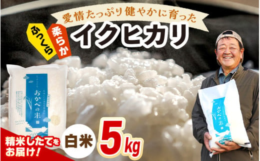 令和6年産 愛情たっぷり健やかに育った ふっくら 柔らか イクヒカリ（白米）5kg [m29-a003] 1695827 - 福井県美浜町