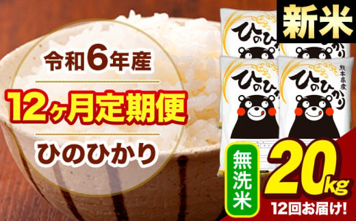 新米 令和6年産 【12ヶ月定期便】  早期先行予約受付中 無洗米 米 ひのひかり 20kg《お申し込み月の翌月から出荷開始》熊本県 大津町 国産 熊本県産 無洗米 送料無料 ヒノヒカリ こめ お米 1582762 - 熊本県大津町