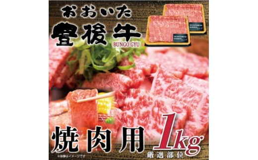 おおいた豊後牛焼肉用 1kg(500g×2P)(日出町)【1571694】