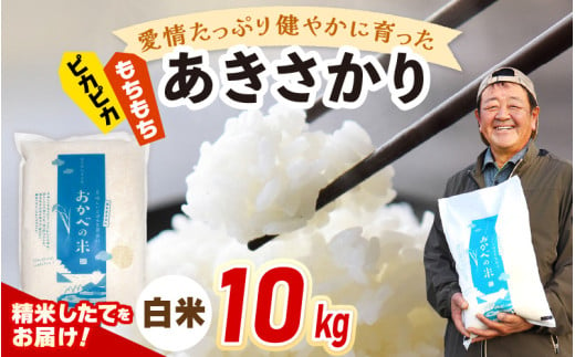 【年内配送】令和6年産 愛情たっぷり健やかに育った ピカピカ もちもち あきさかり（白米）10kg [m29-a006]