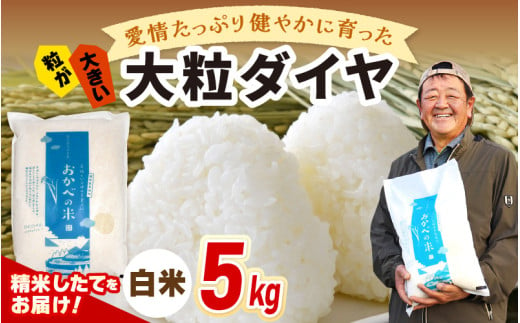 【年内配送】令和6年産 愛情たっぷり健やかに育った 大粒ダイヤ（白米）5kg [m29-a009]