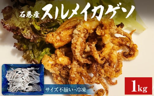 石巻市産スルメイカゲソ１kg 冷凍 国産 スルメイカ いか 下足 イカ イカゲソ おつまみ 魚介類 焼イカ バーベキュー BBQ 烏賊 炒め物 フライ ゲソ天 唐揚げ 1575681 - 宮城県石巻市