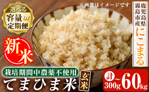 [容量・定期便が選べる][令和6年産・新米]てまひま米・玄米(品種:にこまる)(計300g・計5kg・計10kg・計20kg・3回定期便・6回定期便・12回定期便)[末蜜農園]霧島市 お米 玄米 米 こめ コメ ご飯 ごはん 定期便 栽培期間中農薬不使用