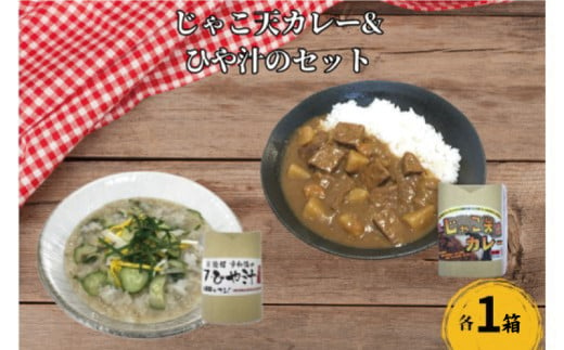 お試し用 ひや汁 & じゃこ天 カレー セット 5000円 真鯛 イトヨリ 鯛 塩糀 塩こうじ 麦みそ 冷や汁 ひやじる レトルト 手軽 簡単 郷土料理 田舎料理 お茶漬け 宇和海 ふかうら真鯛 特産品 マルヤス味噌 愛南町 愛媛県