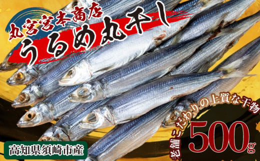 うるめ いわし 500g 干物 鰯 煮干し 真いわし 真鰯 稚魚 おやつ 乾物 魚介 加工品 ウルメ 丸宮 宮本 商店 土佐 海洋深層水 ミネラル 高知県 須崎市