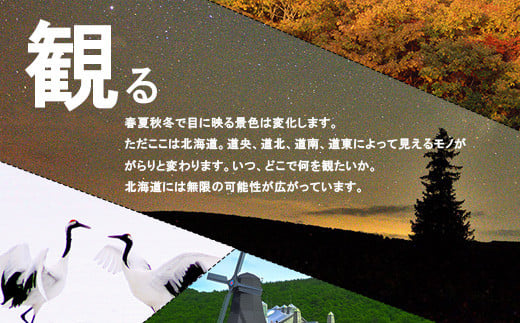 北海道 日本旅行 地域限定旅行クーポン15,000円分 チケット 旅行 宿泊券 ホテル 観光 旅行 旅行券 交通費 体験 宿泊 夏休み 冬休み  F6S-139 - 北海道｜ふるさとチョイス - ふるさと納税サイト