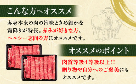 数量限定 宮崎牛 黒毛和牛 モモスライス 550g 1.1kg 牛肉 赤身 国産 すき焼き しゃぶしゃぶ 牛丼 焼肉 BBQ バーベキュー 鉄板焼き  人気 おすすめ 高級 ギフト プレゼント 贈り物 贈答 お祝い 選べる 宮崎県 日南市 送料無料_S-BB147-24-ZO - 宮崎県日南市｜ふるさと  ...