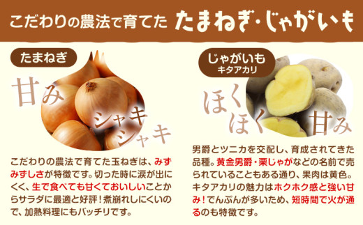 じゃがいも（インカルージュ）とたまねぎのセット 合計約10kg 野菜 《10月中旬から順次出荷》橋枝物産 北海道 浦幌町 - 北海道浦幌町｜ふるさとチョイス  - ふるさと納税サイト