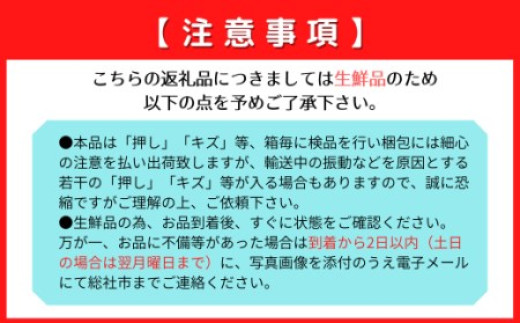 ぶどう「大房シャインマスカット」（2房）総社市秦チーム担い手【2025年産先行予約】25-045-001 - 岡山県総社市｜ふるさとチョイス -  ふるさと納税サイト