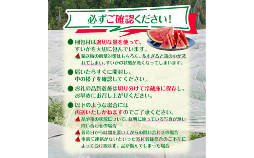 千葉県八街市のふるさと納税 ＼ 先行予約 ／【 数量限定 】[大人気!!]  すいか （ 祭りばやし ） L 2玉 2025年6月以降順次発送 西瓜 スイカ 八街すいか 2025年先行予約 フルーツ先行予約