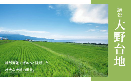 アイテムID:419134の画像7枚目