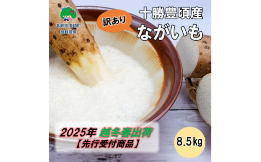 （訳あり）十勝豊頃産 ながいも8.5kg【2025年春出荷】（先行受付）【植村農場】 1584631 - 北海道豊頃町