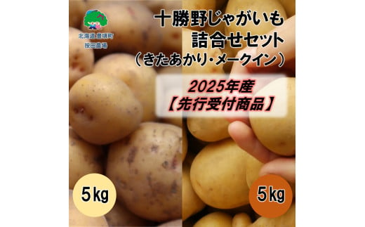 十勝野じゃがいも詰合せセット10kg（きたあかり・メークイン）【2025年産】（先行受付）［按田農場］ 1584632 - 北海道豊頃町