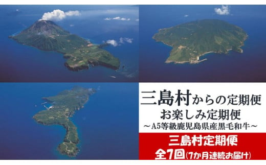 【ふるさと納税】【定期便7回/7カ月連続お届け】　三島村からのお届けお楽しみ定期便